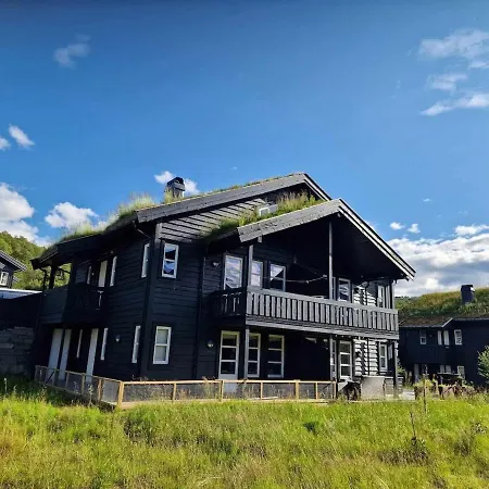 Ski-In, Ski-Out Apartment At Filefjell * Tyinkrysset