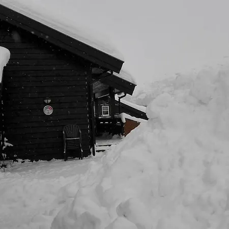 Ski-in, Ski-out At Filefjell