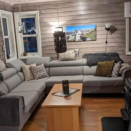 Ski-in, Ski-out At Filefjell بيت للعطل *