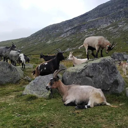 Ski-in, Ski-out At Filefjell بيت للعطل