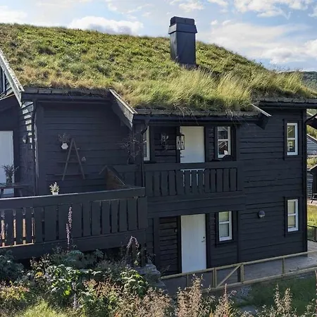 Ski-In, Ski-Out Apartment At Filefjell