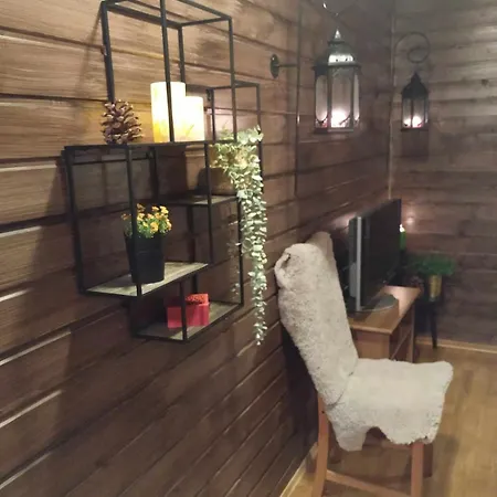 Ski-In, Ski-Out Apartment At Filefjell Tyinkrysset