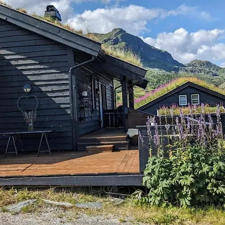 Ski-in, Ski-out At Filefjell بيت للعطل *