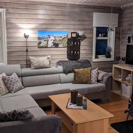 Ski-In, Ski-Out Apartment At Filefjell Casa de Férias Tyinkrysset