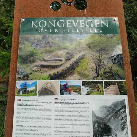 Casa de Férias Ski-In, Ski-Out Apartment At Filefjell *