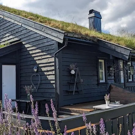 Ski-in, Ski-out At Filefjell Tyinkrysset