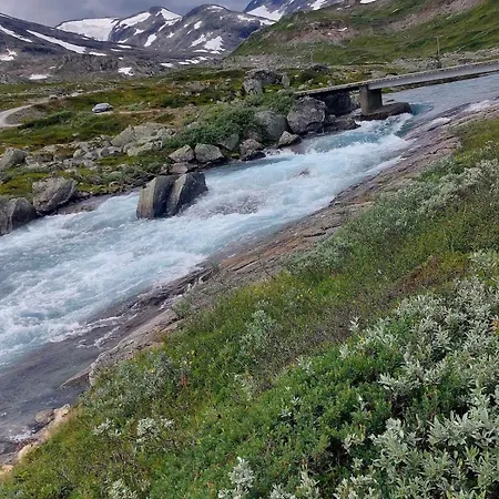 Ski-In, Ski-Out Apartment At Filefjell Tyinkrysset