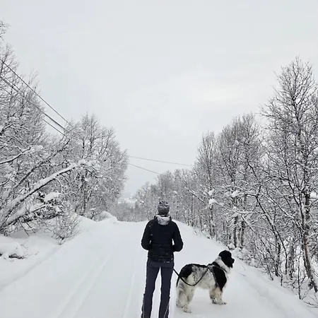 Ski-in, Ski-out At Filefjell Tyinkrysset