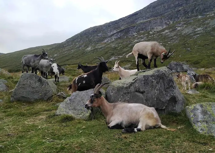 Ski-in, Ski-out At Filefjell Σπίτι διακοπών