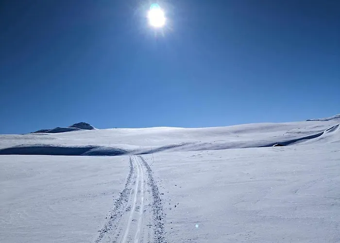 Ski-in, Ski-out At Filefjell Vakantiehuis *
