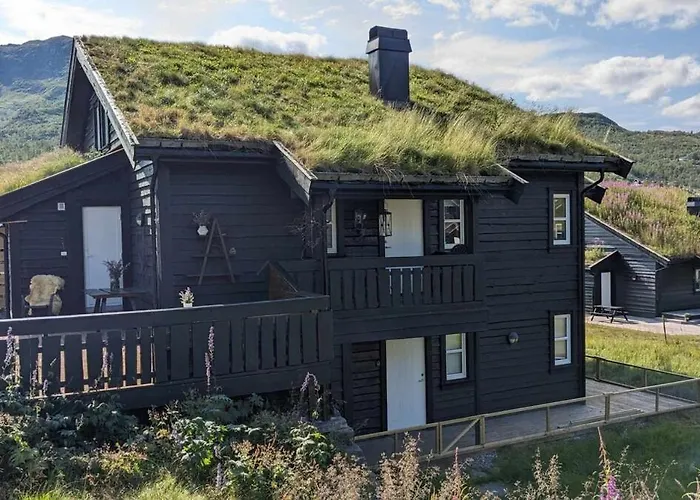 Ski-in, Ski-out At Filefjell