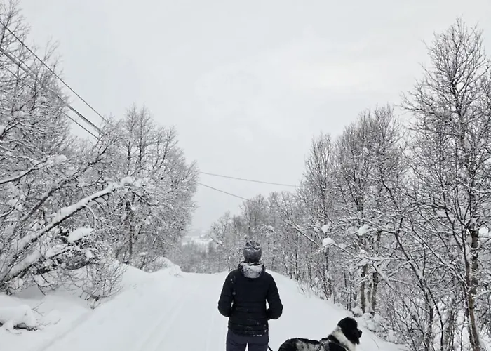 Ski-in, Ski-out At Filefjell Tyinkrysset